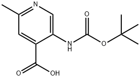 5-叔丁氧基羰基氨基-2-甲基-异烟酸