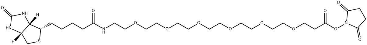 (+)-Biotin-PEG6-NHS Ester