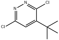 3,6-Dichloro-4-tert-butylpyridazine