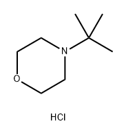 4-tert-butylmorpholine hydrochloride
