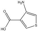 4-氨基-3-噻吩甲酸