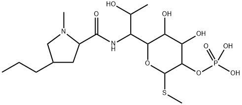 LINCOMYCIN 2-磷酸盐