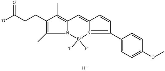 BDP TMR carboxylic acid