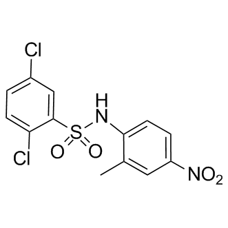 2,5-Dichloro-N-(2-Methyl-4-nitrophenyl)benzenesulfonaMide