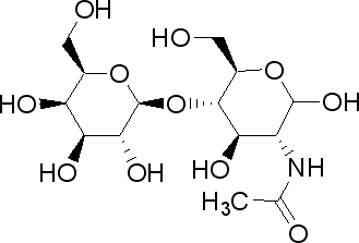 N-Acetyl-D-lactosamine