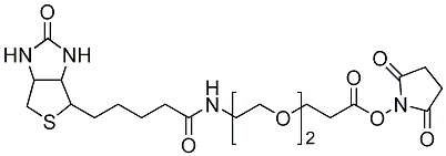 生物素-二聚乙二醇-丙烯酸琥珀酰亚胺酯
