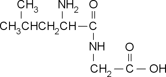 L-白氨酰甘氨酰
