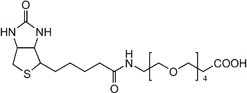 15-[D(+)-BIOTINYLAMINO]-4,7,10,13-TETRAOXAPENTADECANOIC ACID