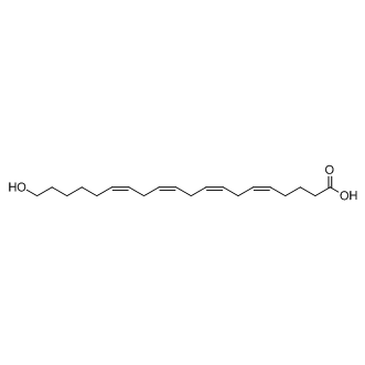 20-Hydroxyarachlidonic acid