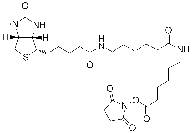Biotin-AC5-AC5-OSU