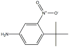 4-叔丁基-3-硝基苯胺