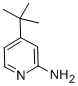 4-(叔丁基)吡啶-2-胺