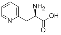 3-(2-吡啶)-D-丙氨酸