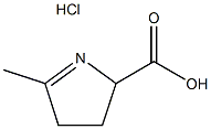 5-methyl-3,4-dihydro-2H-pyrrole-2-carboxylic acid hydrochloride