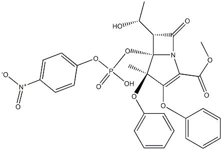 Proteinase K from Tritirachium album limber, Recombinant
