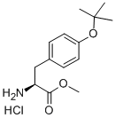 邻叔丁基- L-酪氨酸甲酯盐酸盐