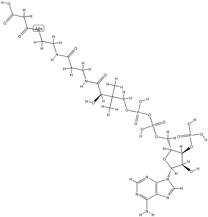S-(Carboxyacetyl)coenzyme A