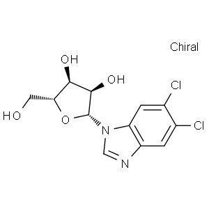 dichlororibofuranosylbenzimidazole