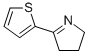 5-(噻吩-2-基)-3,4-二氢-2H-吡咯