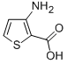 3-氨基噻吩-2-羧酸