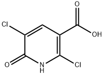 2,5-dichloro-6-hydroxynicotinic acid