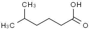 5-Methylhexylic acid
