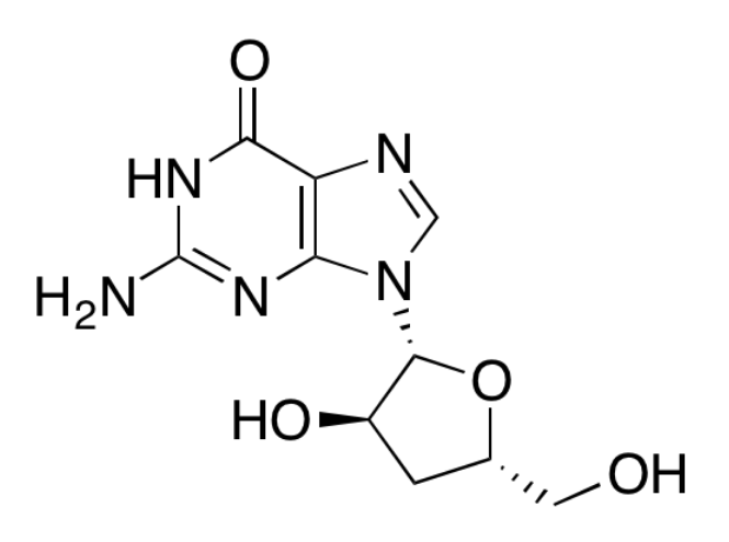 3'-deoxyguanosine