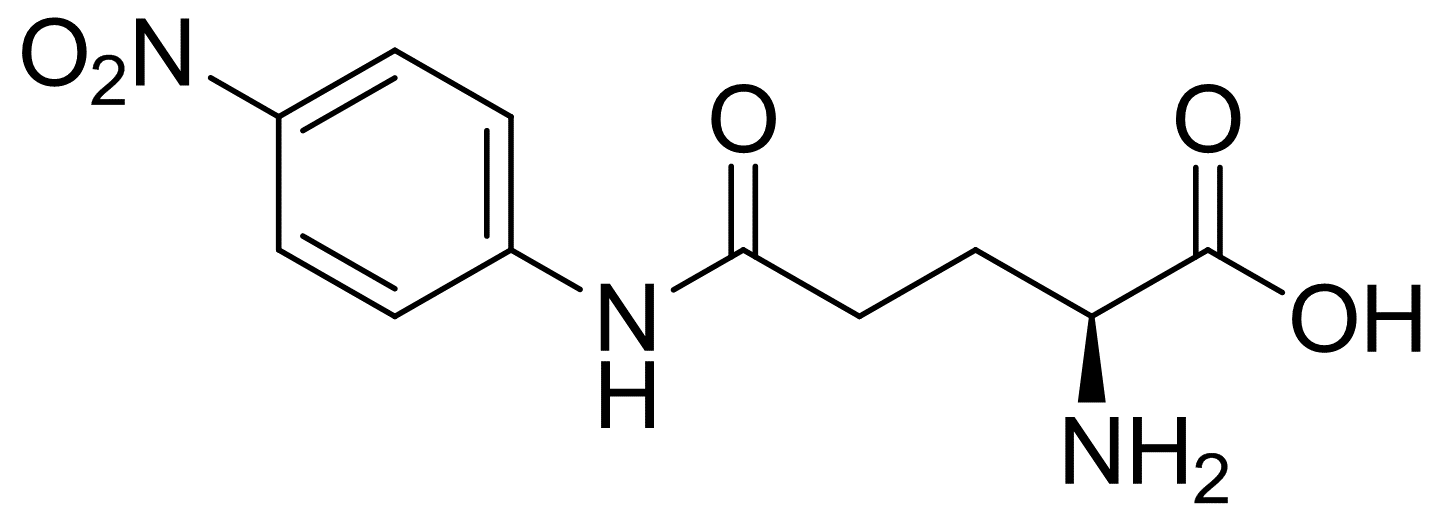 Gamma-L-Glutamyl-4-Nitroanilide