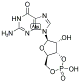 3ˊ,5ˊ-环一磷酸鸟苷