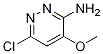 6-Chloro-4-Methoxy-pyridazin-3-ylaMine