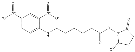 N-(2,4-二硝基苯基)-6-氨基己酸 N-琥珀酰亚胺酯