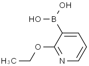 2-乙氧基砒啶-3-硼酸
