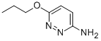 6-Propoxy-pyridazin-3-ylaMine