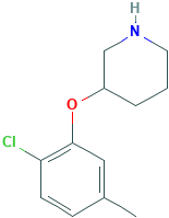 3-(2-氯-5-甲基苯氧基)哌啶