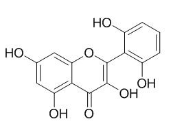 2-(2,6-Dihydroxyphenyl)-3,5,7-trihydroxy-4H-chromen-4-one