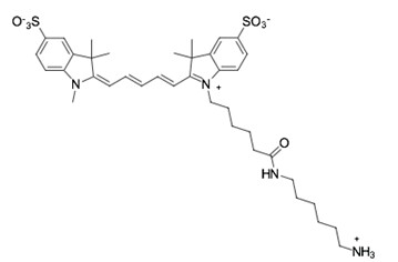 二磺酸基CY5-氨基
