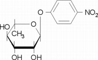 3-Nitrophenyl alpha-L-rhamnopyranoside