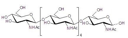 N-乙酰化壳六糖