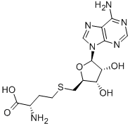 5μ-Deoxy-S-adenosyl-L-homocysteine, AdoHcy, S-(5μ-Deoxyadenosine-5μ)-L-homocysteine