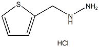 1-((thiophen-2-yl)methyl)hydrazine