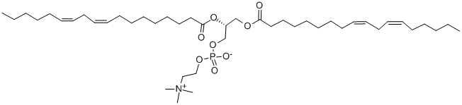 1,2-二亚油酰基-3-SN-磷脂酰胆碱
