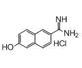 6-hydroxy-2-naphthimidamide hydrochloride
