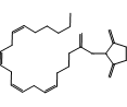 Arachidonic Acid N-HydroxysucciniMidyl Ester