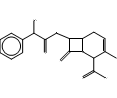 Δ2-Cephalexin