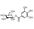 1-O-(3,4,5-Trihydroxybenzoyl)-beta-D-glucopyranoside, beta-D-Glucose gallate, beta-D-Glucogallin
