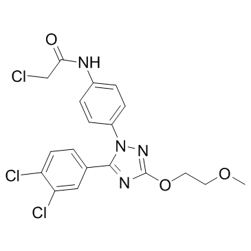 2-chloro-N-(4-(5-(3,4-dichlorophenyl)-3-(2-methoxyethoxy)-1H-1,2,4-triazol-1-yl)phenyl)acetamide