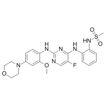 CZC-25146