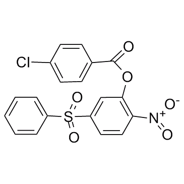 -Chlorobenzoic acid 2-nitro-5-(phenylsulfonyl)phenyl ester