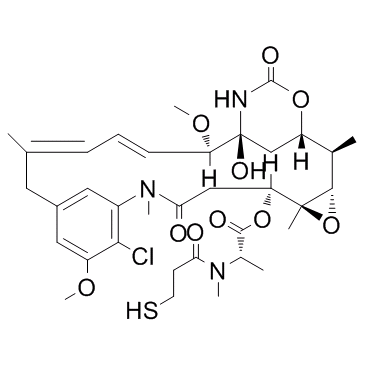 Maytansine DM1