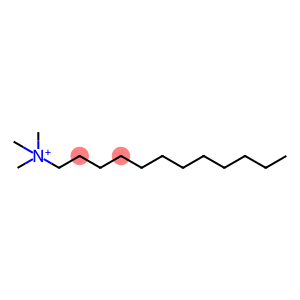 dodecyltrimethylammonium ion